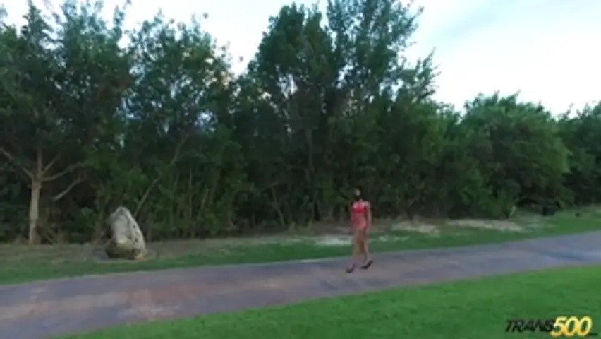 Watch Taiira get banged four dicks Shemale Porn Videos | TranSexBig.