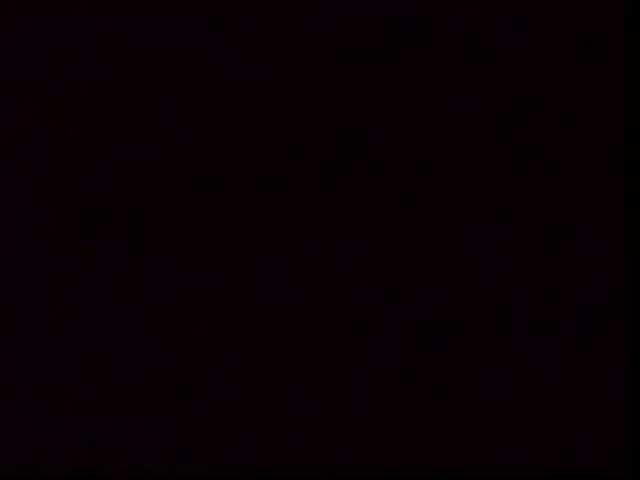 Watch TSBQ_18 Shemale Porn Videos | TranSexBig.