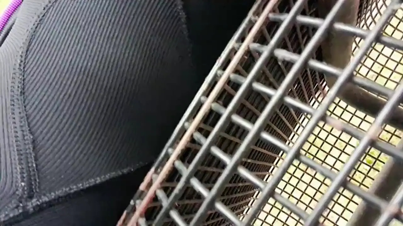 Watch Pissen am Bahnhof 06.03.24 Shemale Porn Videos | TranSexBig.