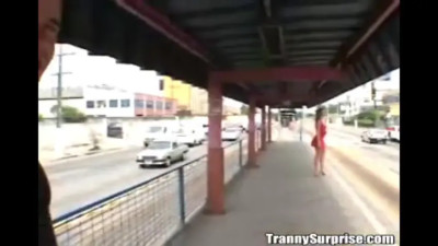 TrannySurprise - Tad Pole