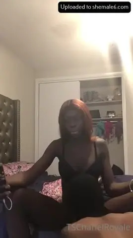 Watch dash Shemale Porn Videos | TranSexBig.