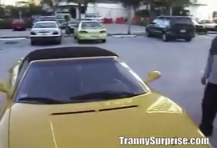 Watch TrannySurprise - Astounding Pounding Shemale Porn Videos | TranSexBig.