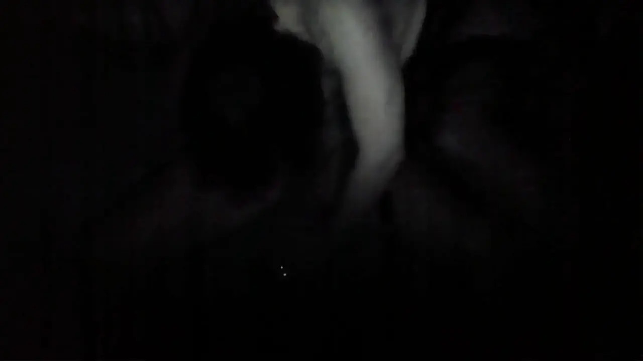 Watch baise moi profond baise moi bien Shemale Porn Videos | TranSexBig.