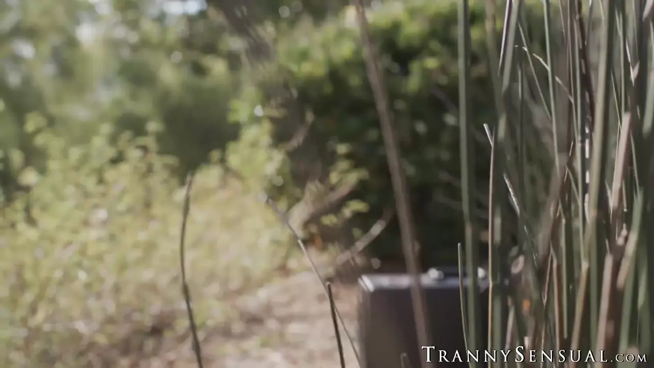 Watch Lovely babe Maya Woulfe gets pricked in the ass by a beautiful tranny Shemale Porn Videos | TranSexBig.