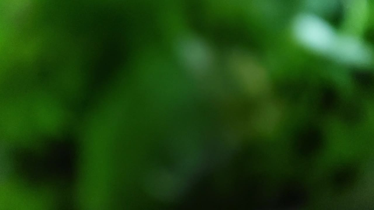 Watch Marsha frotting outside Shemale Porn Videos | TranSexBig.