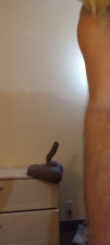 SISSYBOYYJOEY