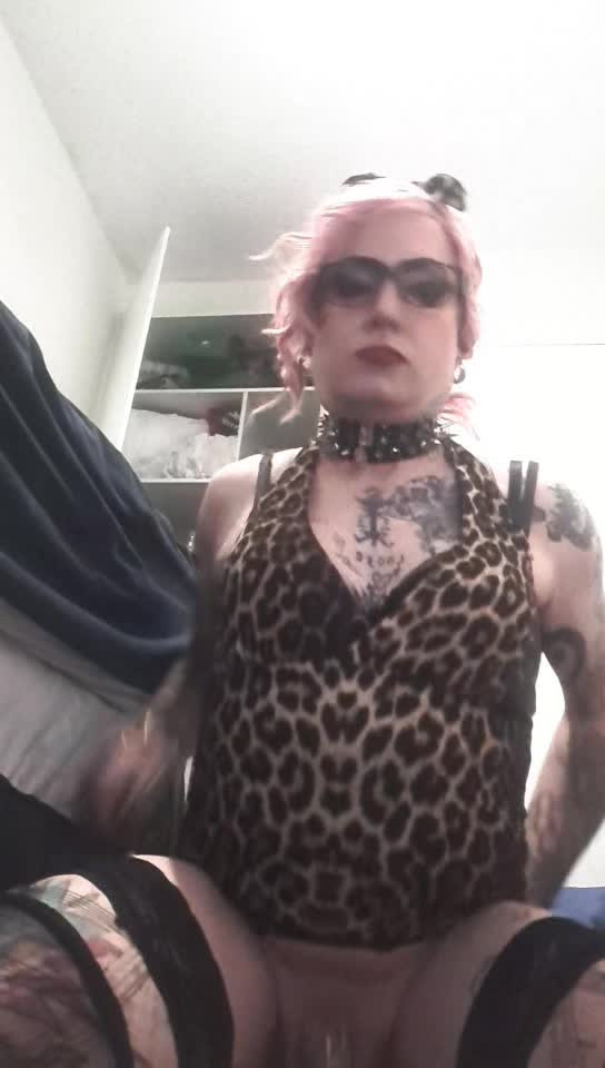 Watch xxx Shemale Porn Videos | TranSexBig.