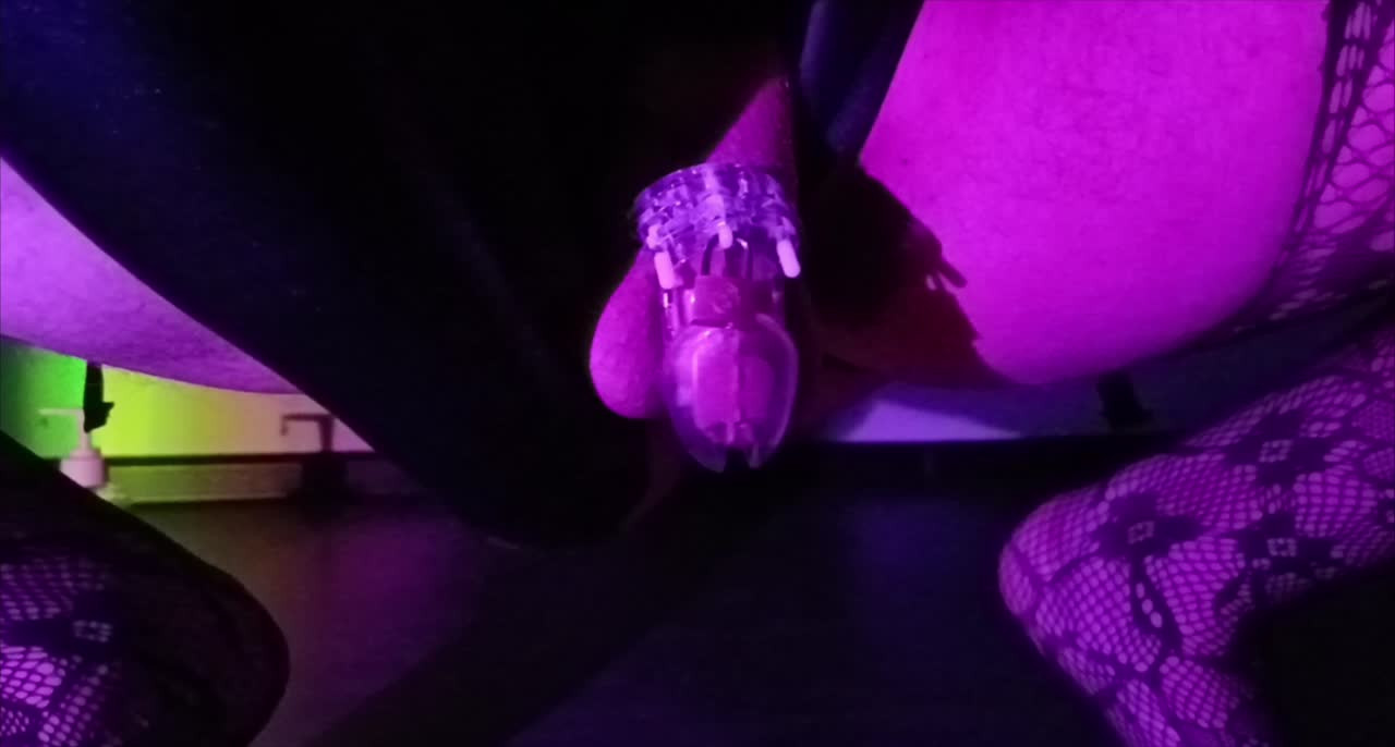 Watch Little cock in chastity Shemale Porn Videos | TranSexBig.