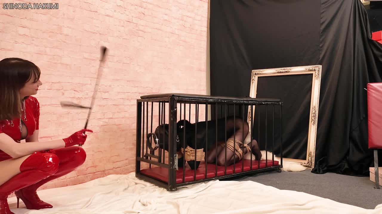 Watch ha66bondage trained trainer abby used devices bang her Shemale Porn Videos | TranSexBig.