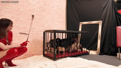 ha66bondage trained trainer abby used devices bang her