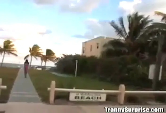 Watch TrannySurprise - Sugar Candy Shemale Porn Videos | TranSexBig.