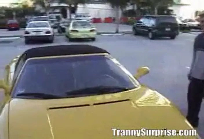 Watch TrannySurprise - Astounding Pounding Shemale Porn Videos | TranSexBig.