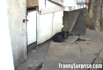 TrannySurprise - ***Canoodle The Colon***