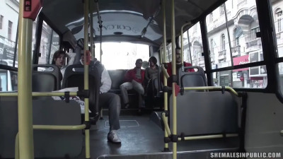 Public TransPortation