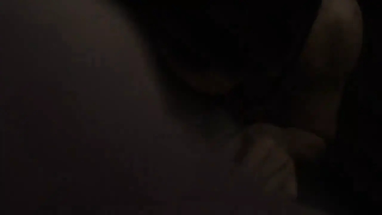 Watch Losing Masculinity - Compilation Series Shemale Porn Videos | TranSexBig.