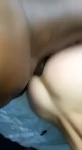 Watch Aguentando bem Shemale Porn Videos | TranSexBig.