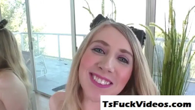 Tattooed tgirl takes it up the ass from shemales