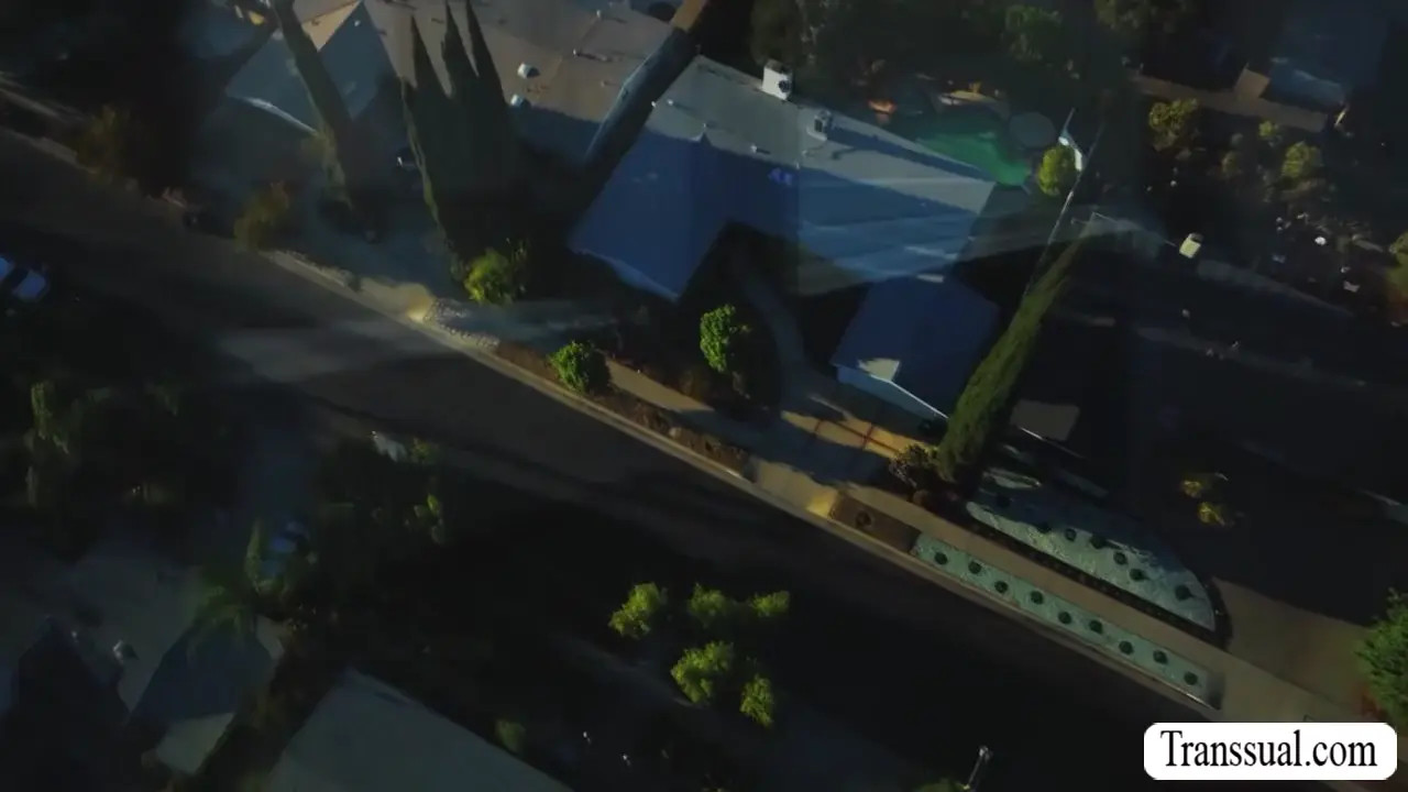 Watch Brunette Vanessa Sky sit on TS Jade Venus face Shemale Porn Videos | TranSexBig.