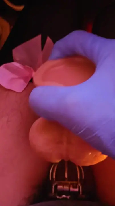 Watch This is the only way my mistress will let me masterbate. She has the key Shemale Porn Videos | TranSexBig.