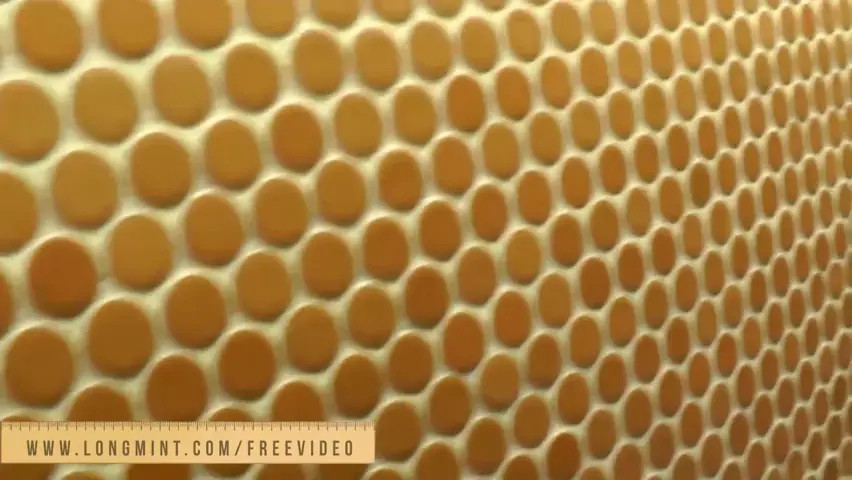 Watch Brunette ladyboy in white swimsuit teases with her big cock by the hot tub Shemale Porn Videos | TranSexBig.