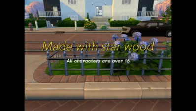 Made with star wood (futa audition)