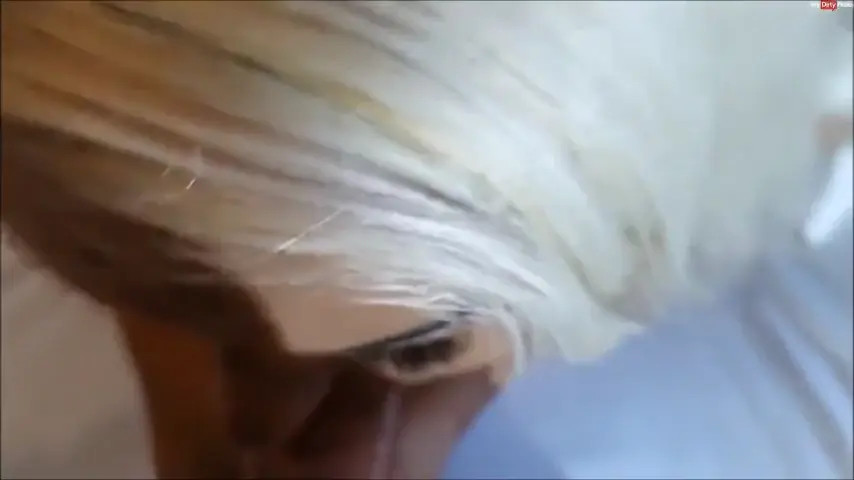 Watch Intense trio with a hottie and a tranny with big tits Shemale Porn Videos | TranSexBig.