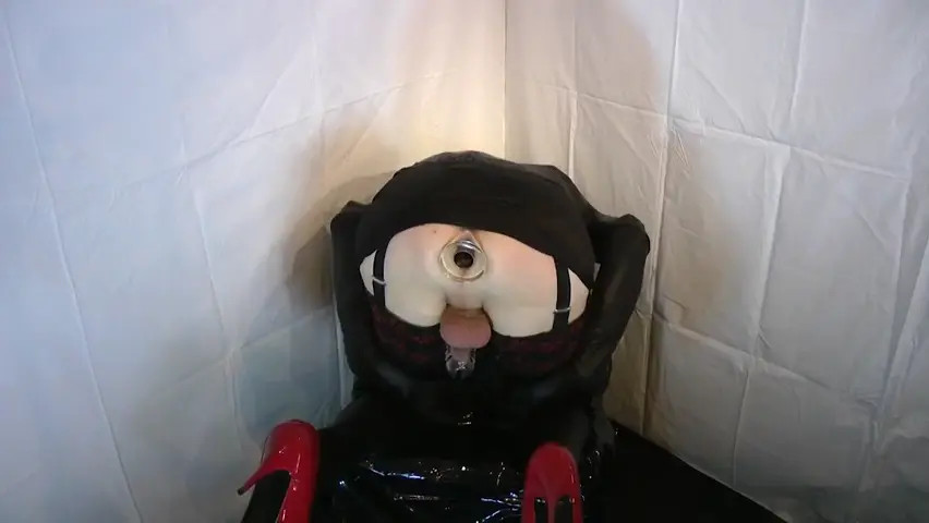 Watch 21250127 Shemale Porn Videos | TranSexBig.