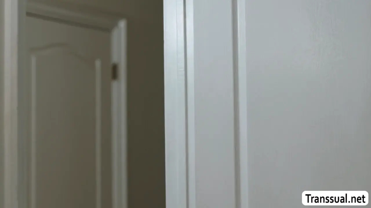 Watch TS caught her friend jerking off and gives him a hand Shemale Porn Videos | TranSexBig.