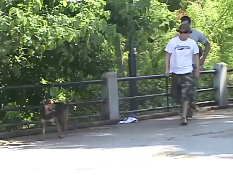 Watch Mia Picked Up and Fucked Shemale Porn Videos | TranSexBig.