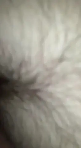 Watch rica cojiga Shemale Porn Videos | TranSexBig.