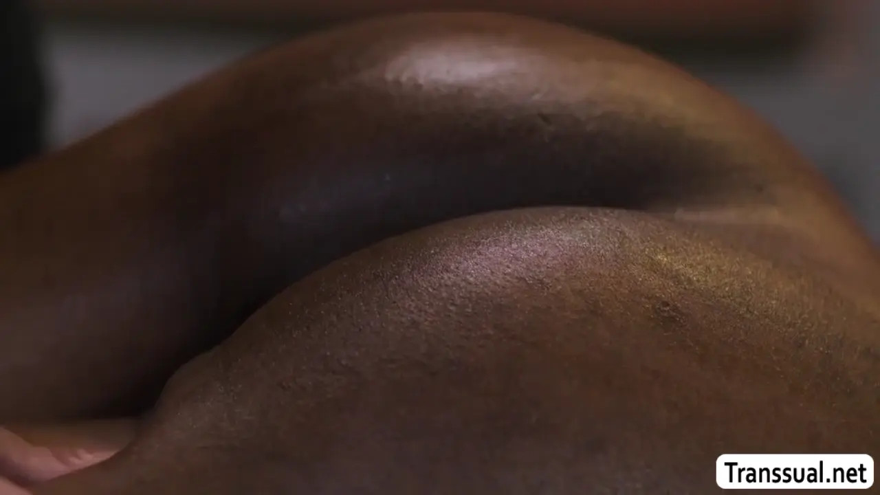 Watch Bigtits TS ebony anal fucked by her favorite masseur Shemale Porn Videos | TranSexBig.