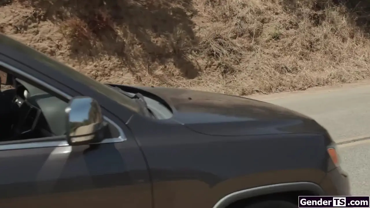 Watch Babes hitchhiking with shemale dick out Shemale Porn Videos | TranSexBig.