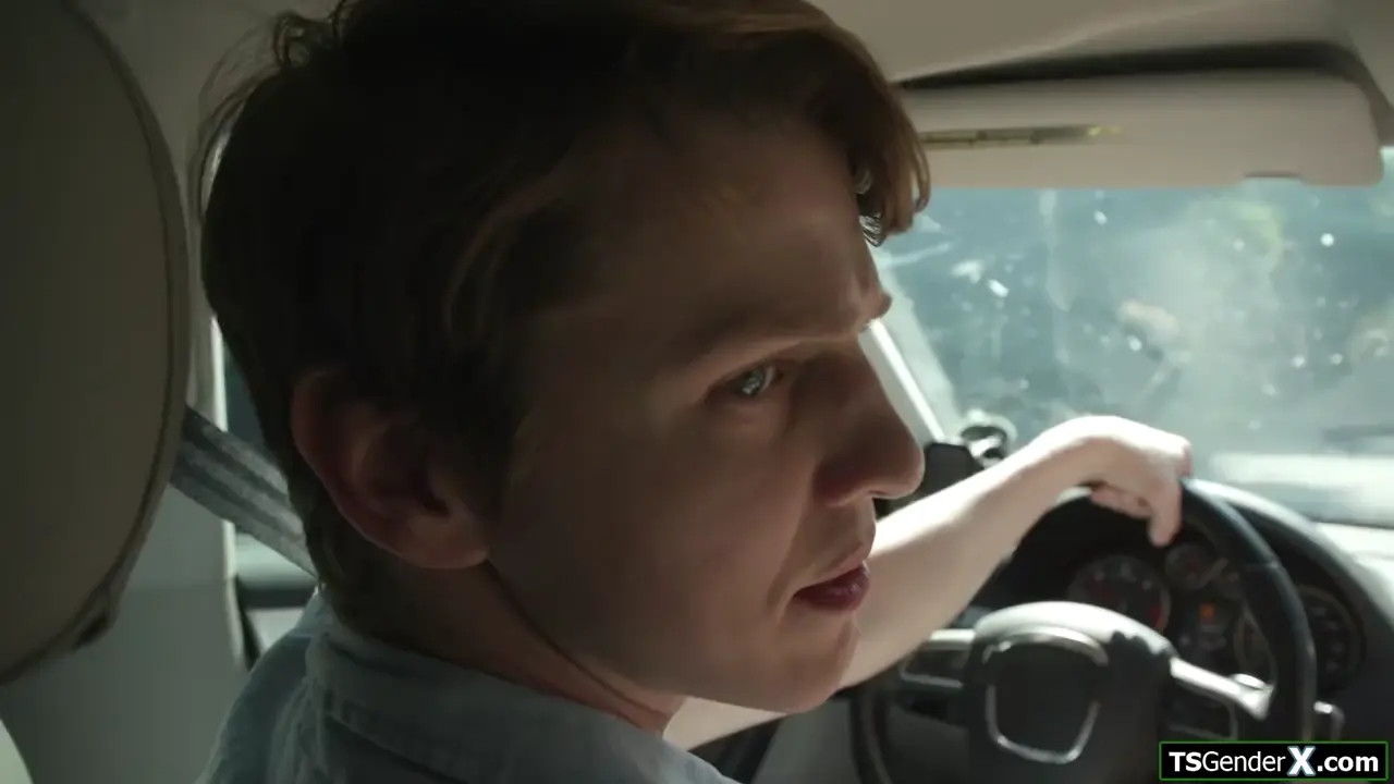 Watch Big tits shemale hitchhiker anal reamed Shemale Porn Videos | TranSexBig.