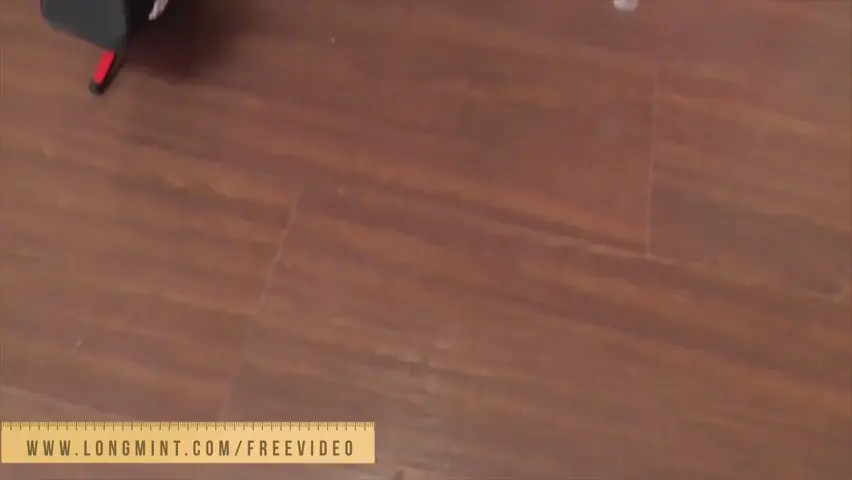 Watch Big cock ladyboy in black lingerie enjoys jerking her massive dick Shemale Porn Videos | TranSexBig.