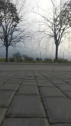 Watch Unacerdaamaricona en los poligonos Shemale Porn Videos | TranSexBig.