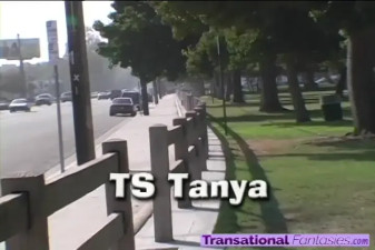 Shemale Strokers Tanya