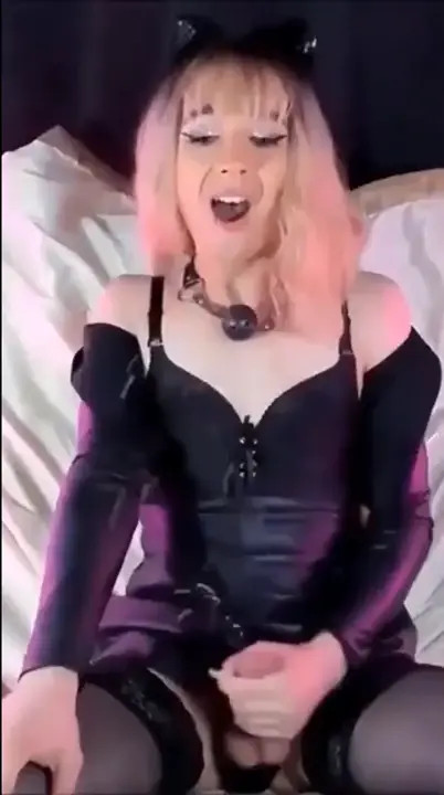 Watch Varias Gozadas #186 Shemale Porn Videos | TranSexBig.