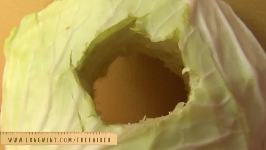 Watch Ladyboy in black lingerie and white panties strips and strokes her big cock Shemale Porn Videos | TranSexBig.