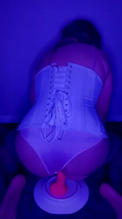 Watch My favorite bitch Shemale Porn Videos | TranSexBig.