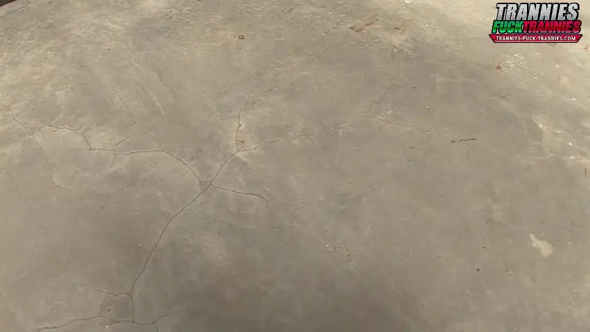 Watch LL VINTAGE 4 Shemale Porn Videos | TranSexBig.