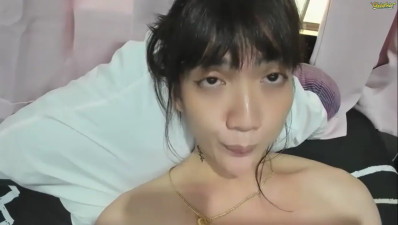 SHE BACK xdream