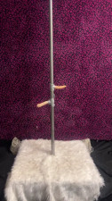 Fucking my strip pole