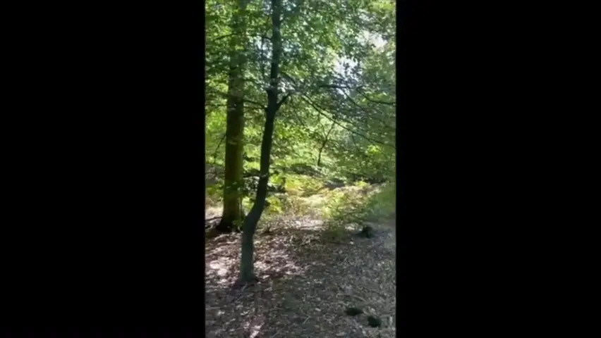 Watch Auftrag für die Sissy -- OUTING Shemale Porn Videos | TranSexBig.