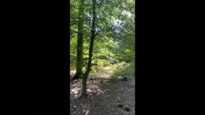 Auftrag für die Sissy -- OUTING