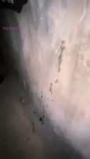 Shemale Outdoor cum