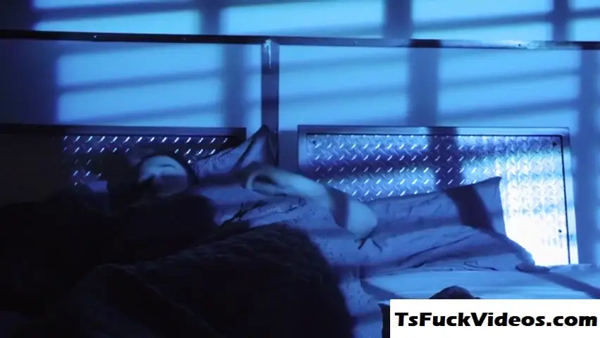 Watch Sultry Evening Shemale Porn Videos | TranSexBig.
