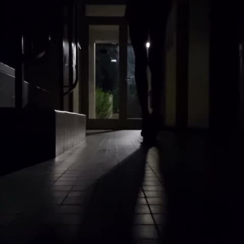 Watch 👑2 [•rec]1 La Cage D'escalier. Rez De Chaussée, 1er.. Vsbx Paris91 Shemale Porn Videos | TranSexBig.