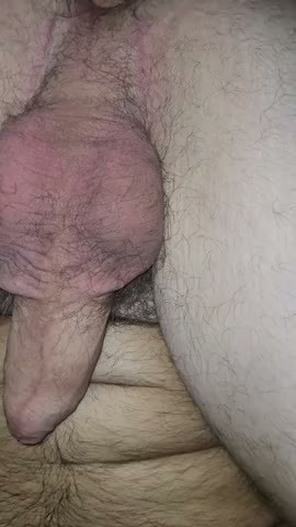 Watch Italian Trans Escort Fucks Customer Bareback Shemale Porn Videos | TranSexBig.